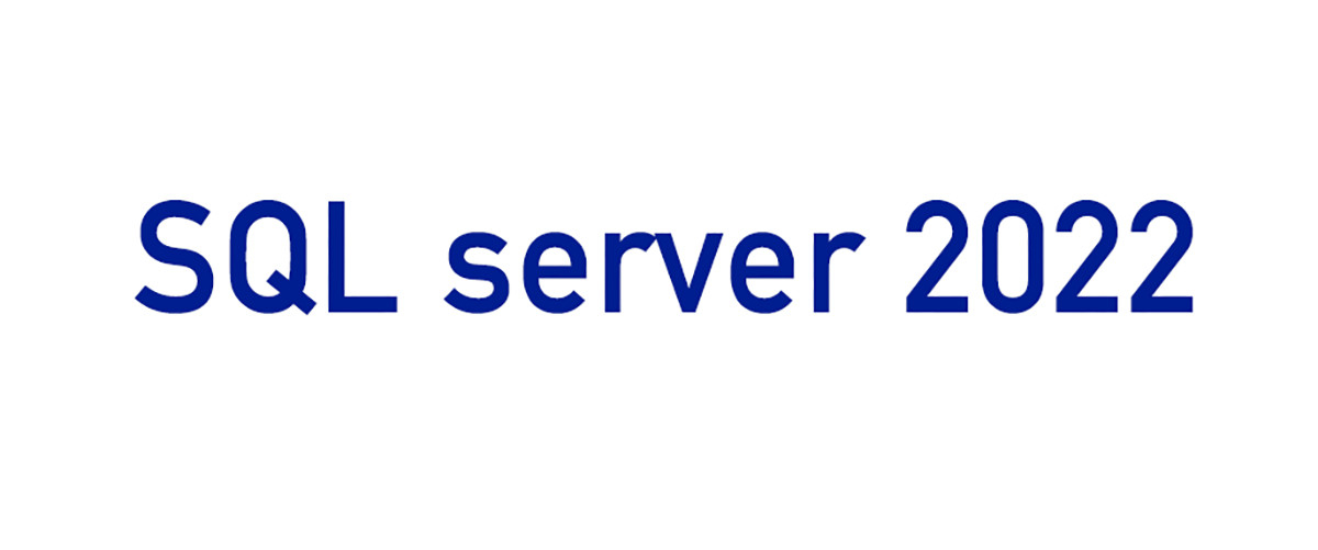 중국 최상 SQL 2022 STD 판매에