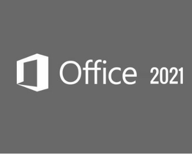 Office 2021 Pro Plus LTSC Volume License Lifetime Digital Code Key Online Delivery