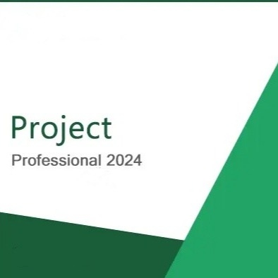 Project Standard 2024 Bind For 1 PC In Stock License Warranty 30 Days