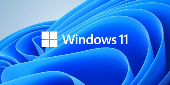 Upgrade to Windows 11 Professional and Take Your Work to the Next Level