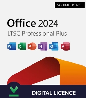 전 세계적으로 오피스 2024 프로페셔널 플러스 LTSC 볼륨 라이선스 500명의 사용자를 위한 윈