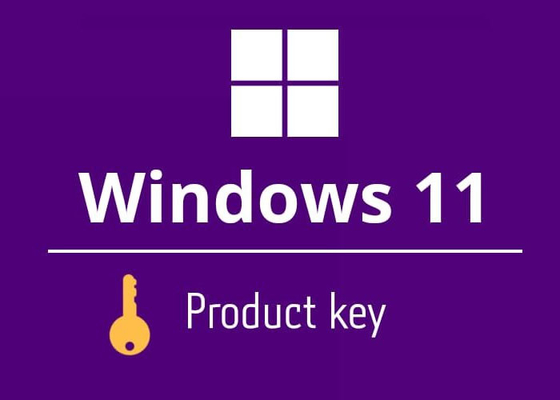 멀이티 언어 마이크로 소프트 윈도우 11 프로덕트 키 가정 전자우편 배달