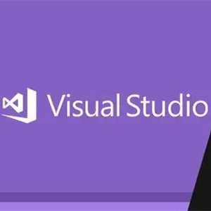 20 Gb Visual Studio 활성화 키 100% 활성화 기업 코드 2019 제품