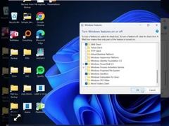 전문적인 윈도우 11은 키를 잠급니다