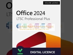 전 세계 Office 2024 Professional Plus LTSC 볼륨 라이선스 (Windows용 사용자 100명)